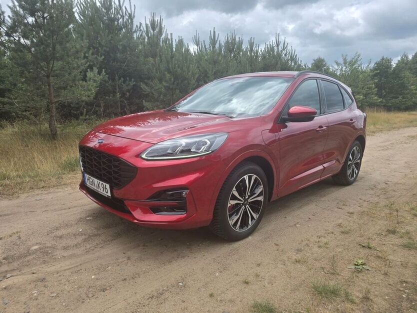 Kuga