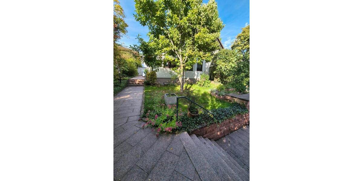 Erdgeschoßwohnung Heidelberg Pfaffengrund - 3 Zimmer, 110 m&sup2;, 1.800&euro; | Angebot:25404775