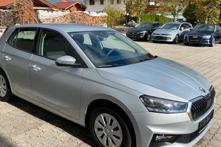 Skoda Fabia 21.895 km 17.900 &euro; Bischofswiesen 83483