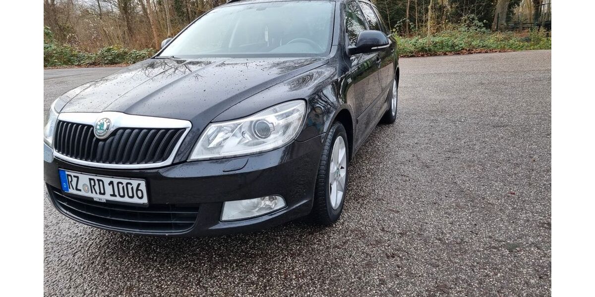 Skoda Octavia 290.000 km 4.099 &euro; Ratzeburg 23909