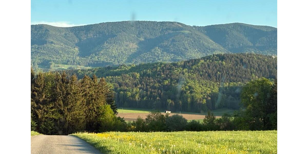 Praktisch gelegene, in alle Richtungen gut angebundene 2,5 Zi zimmer