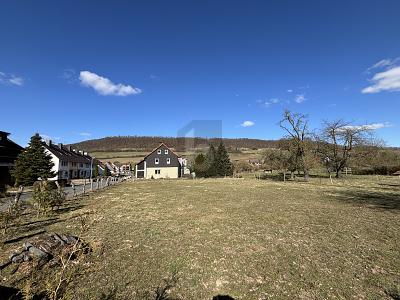 TEILBAR & SOFORT BEBAUUNGSBEREIT! - Grundstück Dassel | Angebot:25630344