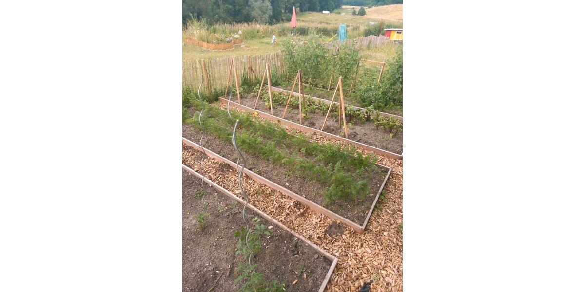 Einfamilienhaus Grevesmühlen - 155.000&euro; | Angebot:26196251