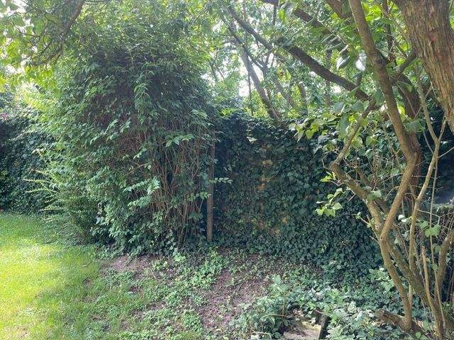 Grundstück Wolfenbüttel Stadtgebiet - 395.000&euro; | Angebot:24425093