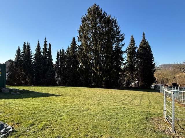 Grundstück zu verkaufen in Lemgo 115.200 € 725 m² zimmer