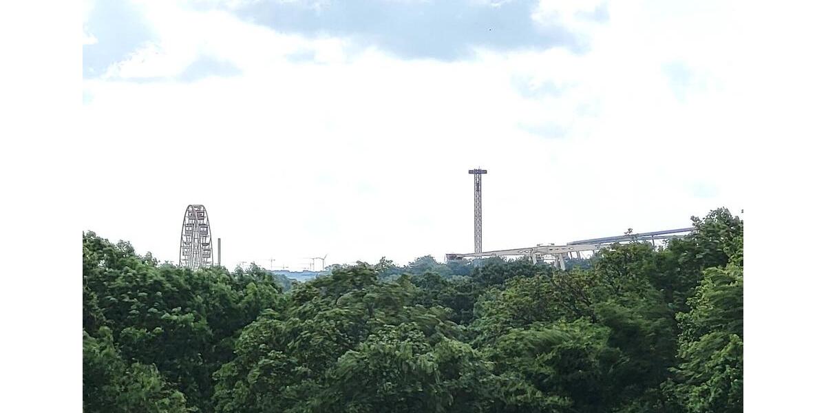 Charmante freie Altbauwohnung in Hannover-Linden -Schwarzer Bär 4 zimmer