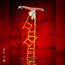 Kids-Handstand-Dezember 01.12.2025 Pineapple Park (Alte Paketposthalle)