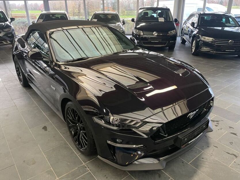 Mustang