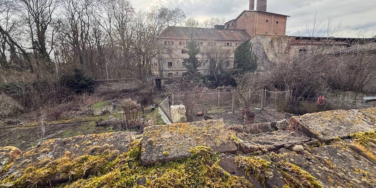 Gewerbeobjekt Wegeleben - 345.000&euro; | Angebot:26156657