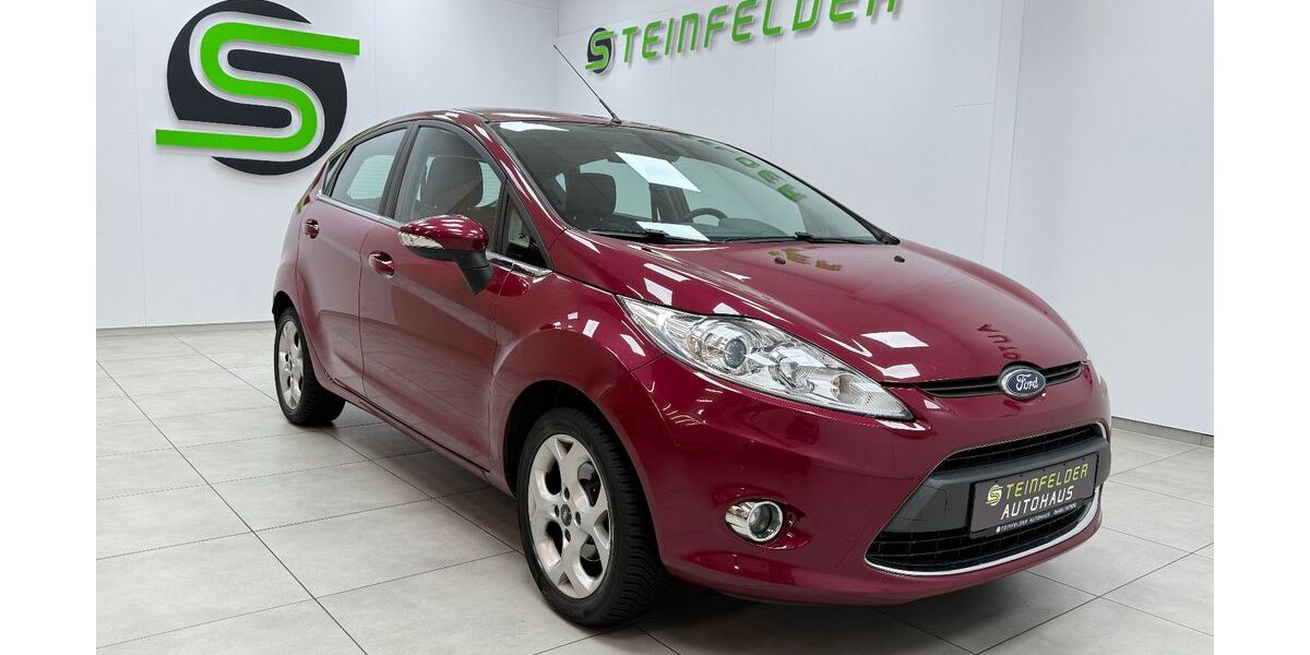 Ford Fiesta 139.950 km 4.490 € Steinfeld 49439