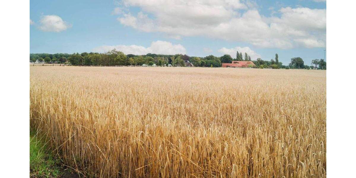 Mehrfamilienhaus, Wohnhaus Weyhe Melchiorshausen - 1 Zimmer, 289 m&sup2;, 648.000&euro; | Angebot:24636180