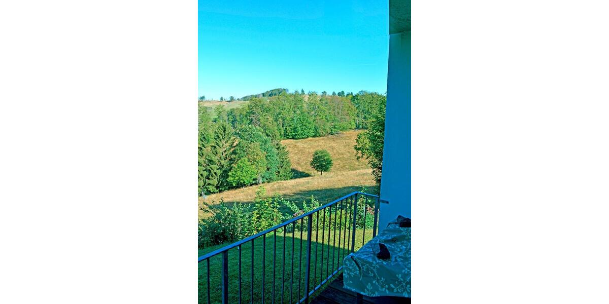 Etagenwohnung Braunlage Sankt Andreasberg - 1 Zimmer, 20 m&sup2;, 25.000&euro; | Angebot:26414500