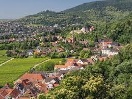 Grundstück zu verkaufen in Neustadt 520.000 € 569 m²