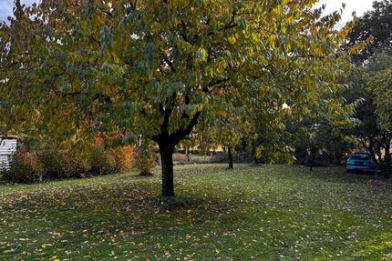 Charmantes Haus im Grünen – ideal für Handwerker & Selbstverwirkl 5 zimmer