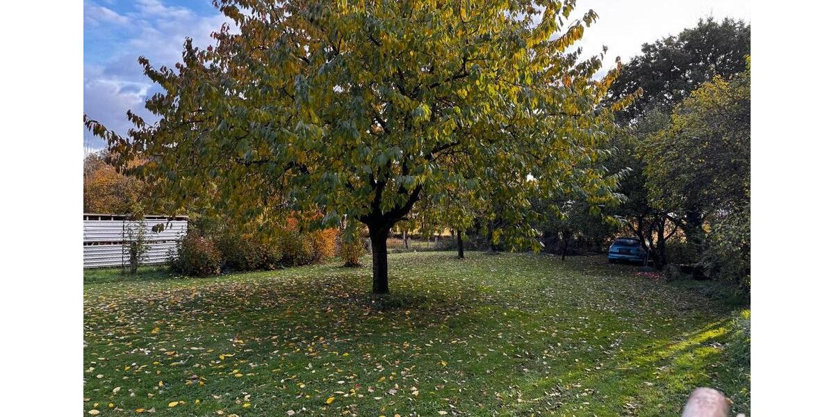 Charmantes Haus im Grünen – ideal für Handwerker & Selbstverwirkl 5 zimmer