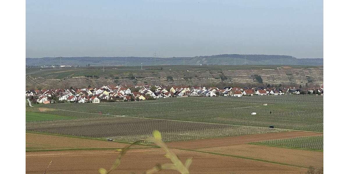 Grundstück Lauffen - 123.900&euro; | Angebot:25460076