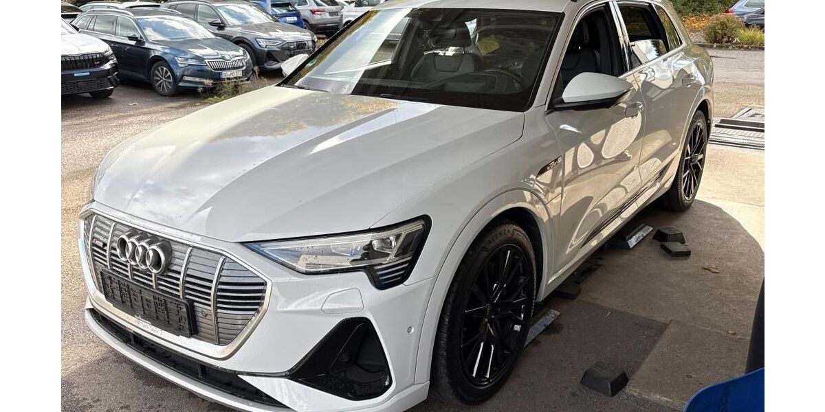 Audi e-tron 69.511 km 34.709 &euro; Hagen 58091