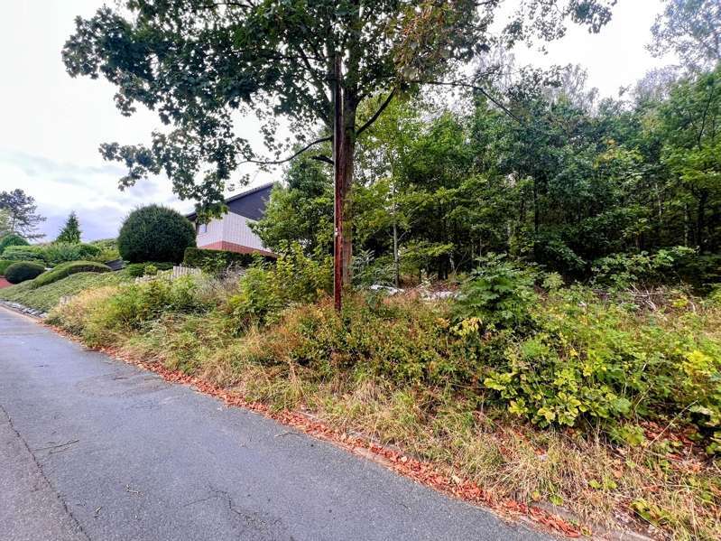 Grundstück zu verkaufen in Wolfshagen 70.000 € 3415 m² zimmer