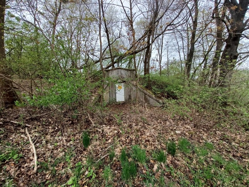 Gebotsverfahren: Waldgrundstück mit ehemaligem Trinkwasserbehälter in Rhumspringe (Landkreis Göttingen) zu verkaufen zimmer