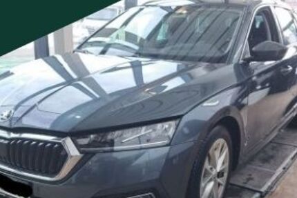 Skoda Octavia 69.184 km 19.480 &euro; Regen 94209