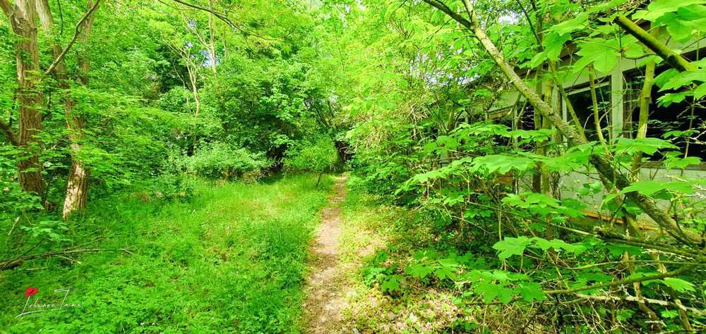 Lost Places & Naturidyll, perfekte Lage für Ferienunterkünfte! zimmer