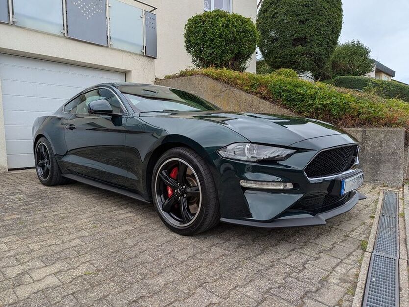 Mustang