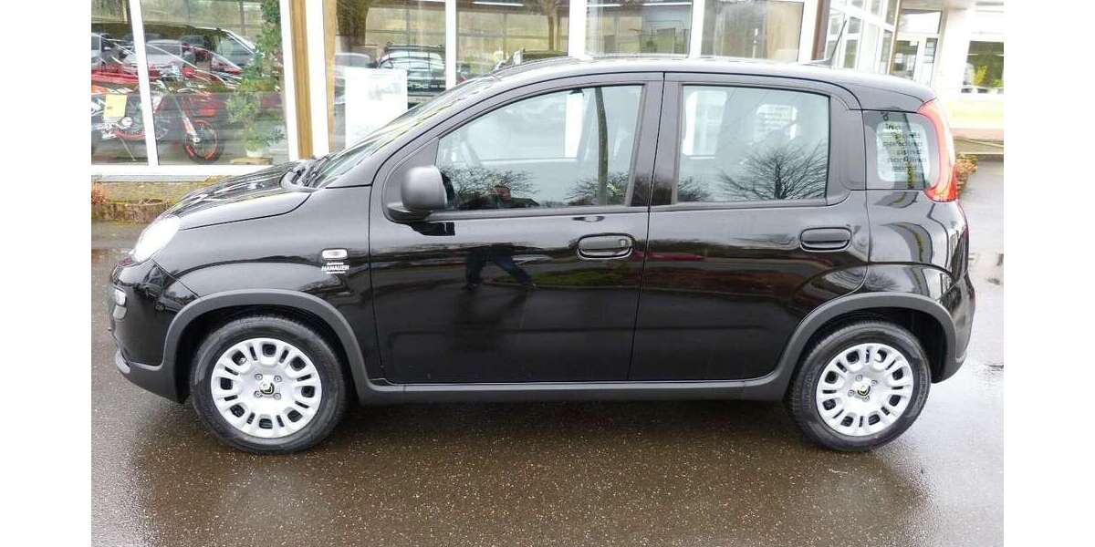 Fiat Panda 1.100 km 13.900 &euro; Oberviechtach 92526