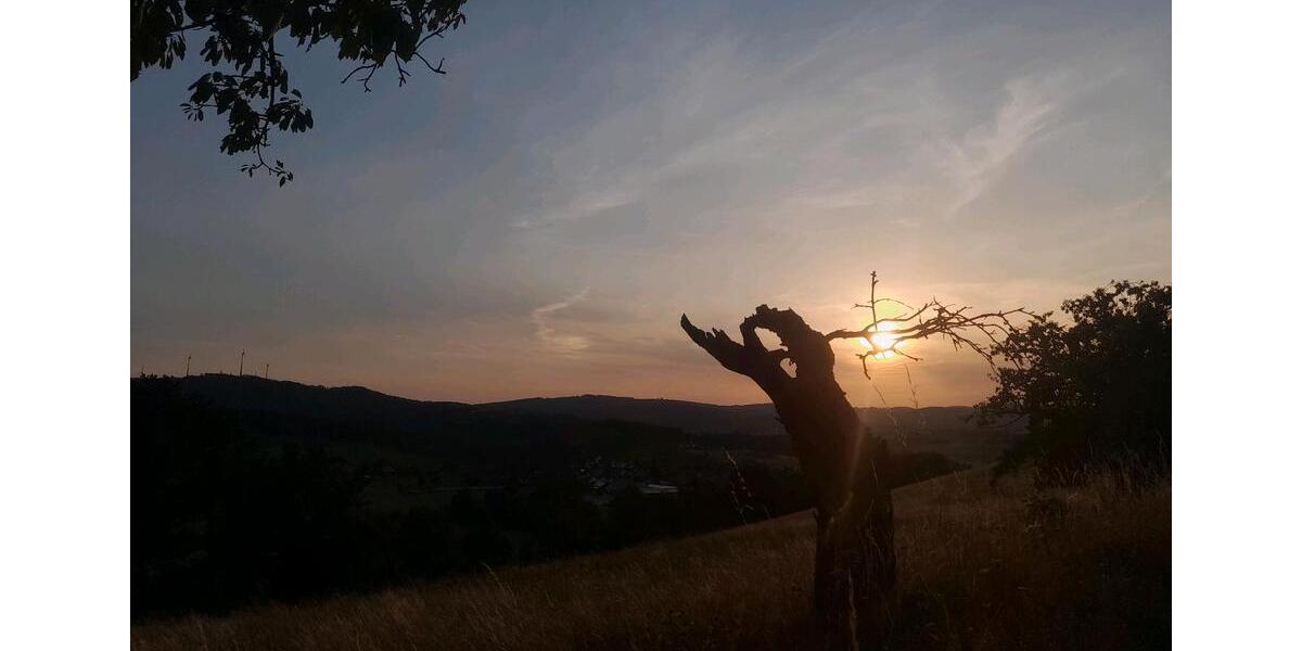 FerienhausWochenendhaus mit ca. 3.000 m² auf dem Warteberg zimmer