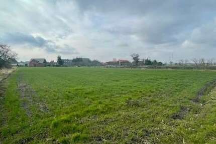 Grundstück Schwedt - 55.000&euro; | Angebot:25200074