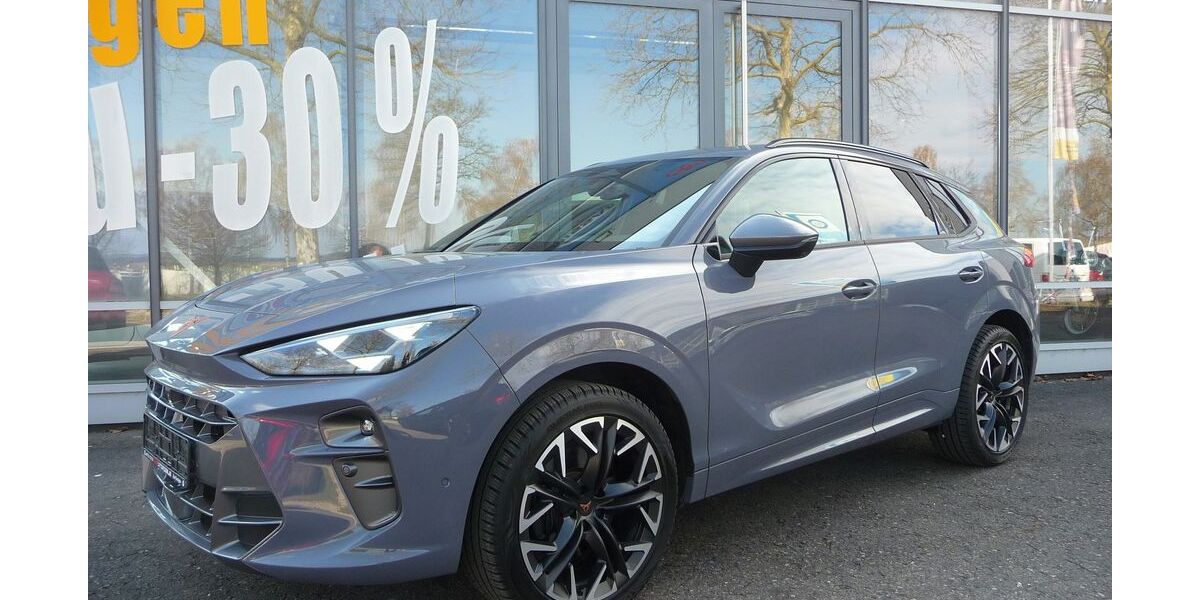 Cupra Terramar 17.100 km 41.890 &euro; Bad Saulgau 88348