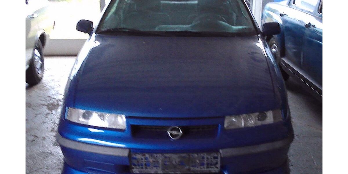 Opel Calibra 175.000 km 7.500 &euro; Mönchweiler 78087