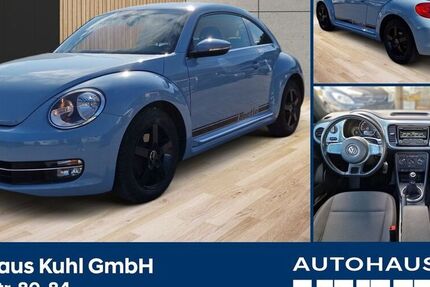 VW Beetle