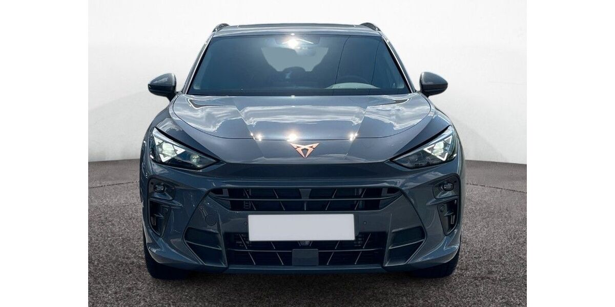 Cupra Terramar 9.000 km 44.990 &euro; Würzburg 97076