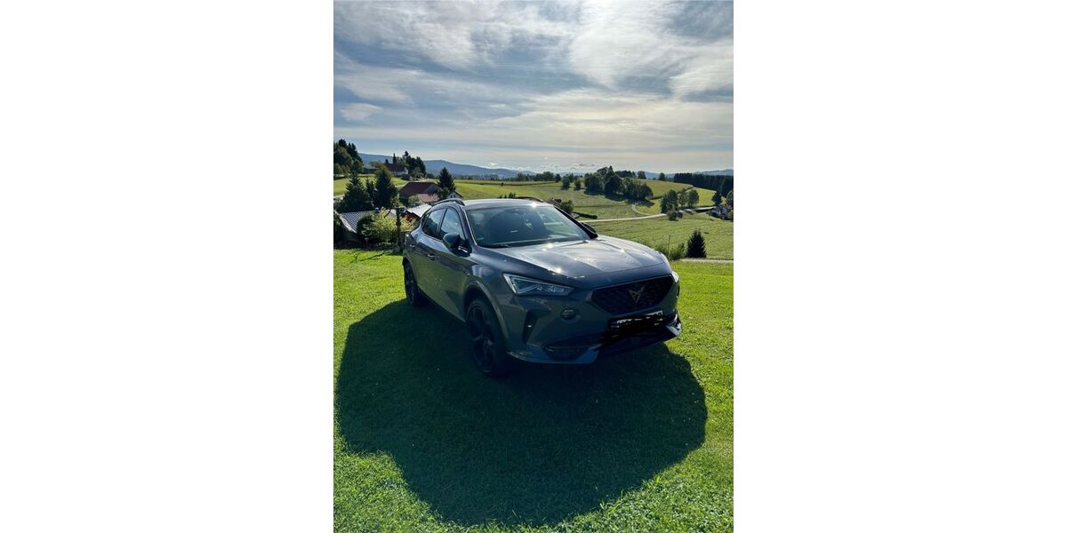 Cupra Formentor 55.700 km 25.000 &euro; Hinterschmiding 94146