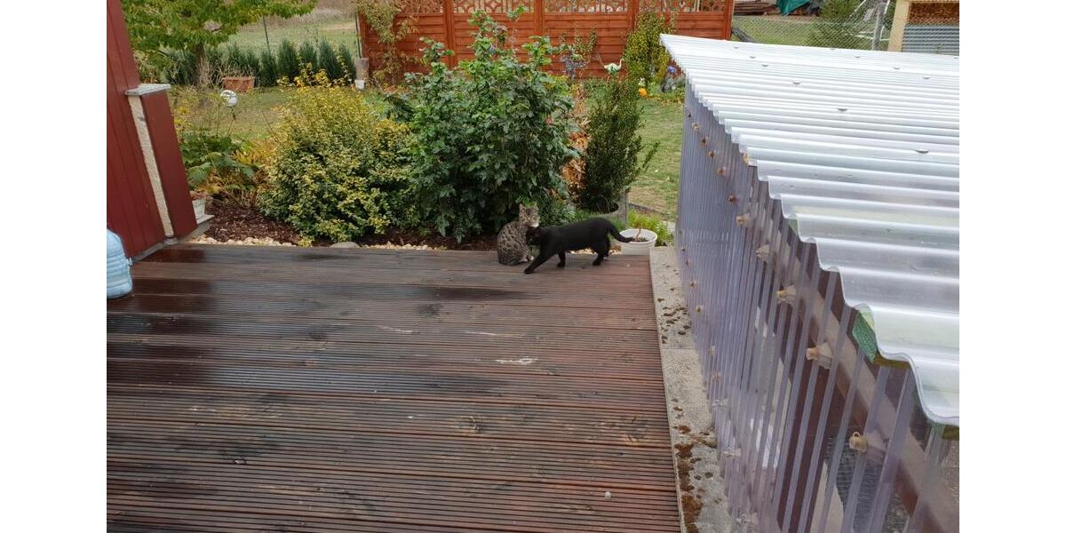 Einfamilienhaus Bad Belzig - 5 Zimmer, 158 m&sup2;, 1.550&euro; | Angebot:26443482
