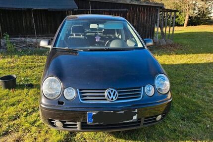 VW Polo 249.974 km 2.950 &euro; Reinsberg 09629