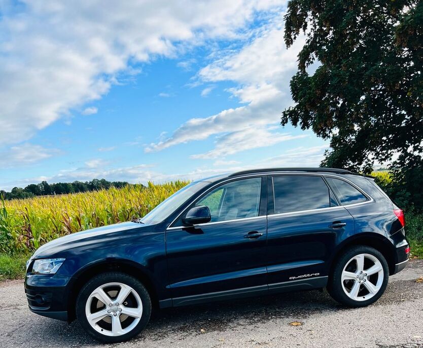 Q5
