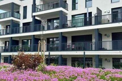 Wohnung Burglengenfeld Augustenhof - 2 Zimmer, 52 m&sup2;, 266.900&euro; | Angebot:25262627