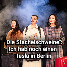 Ich hab' noch einen Tesla in Berlin 24.10.2026 Kabarett-Theater Die Stachelschweine