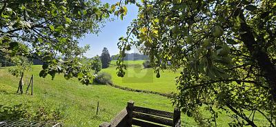 GEMÜTLICH MIT TRAUMHAFTER AUSSICHT - Doppelhaushälfte Maierhöfen | Angebot:26292567