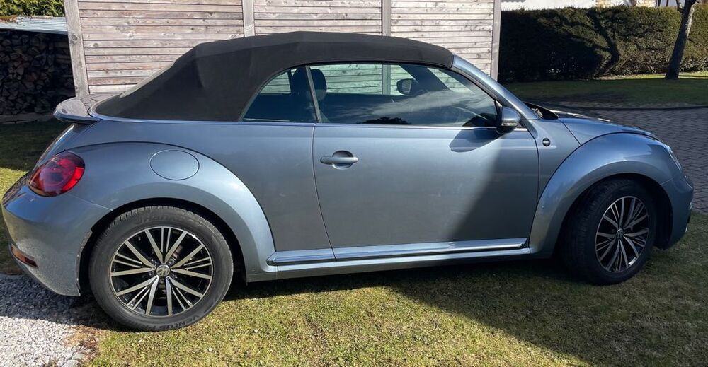 Beetle