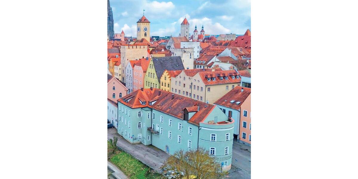 Einzigartige Dachgeschoss-Galeriewohnung Donaublick 1.5 zimmer