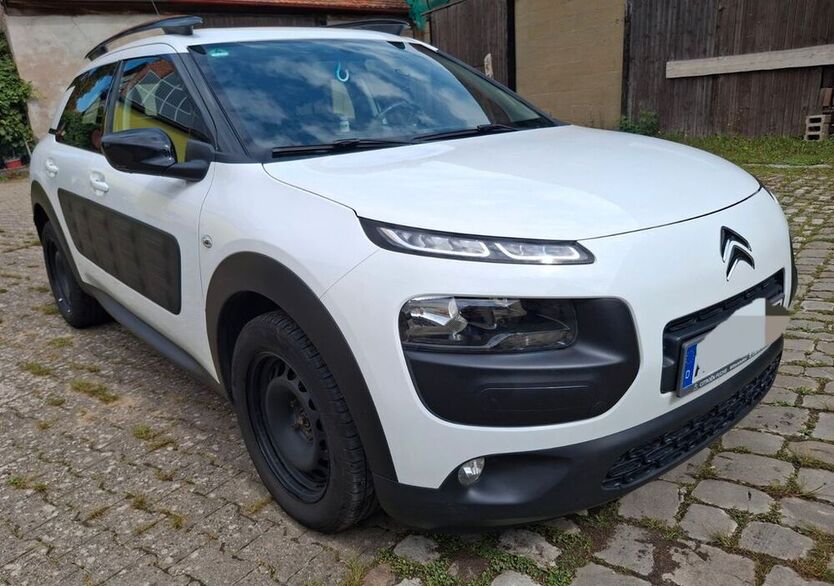 C4 Cactus