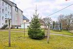 Etagenwohnung Frauenstein - 2 Zimmer, 48 m&sup2;, 315&euro; | Angebot:26657905