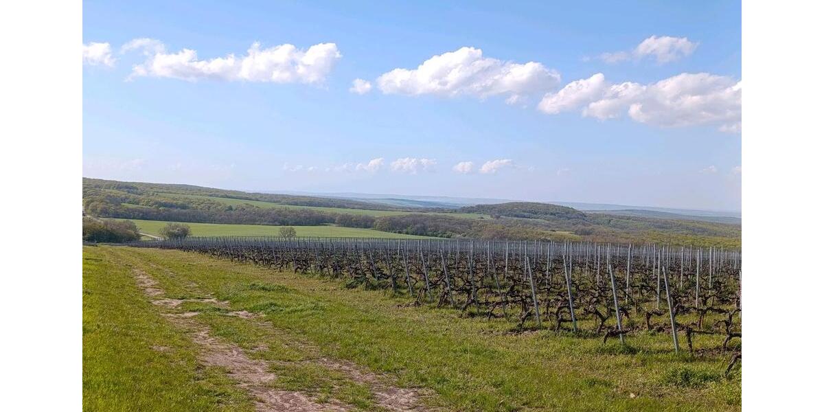 Einfamilienhaus Donauwörth - 78.000&euro; | Angebot:26314574