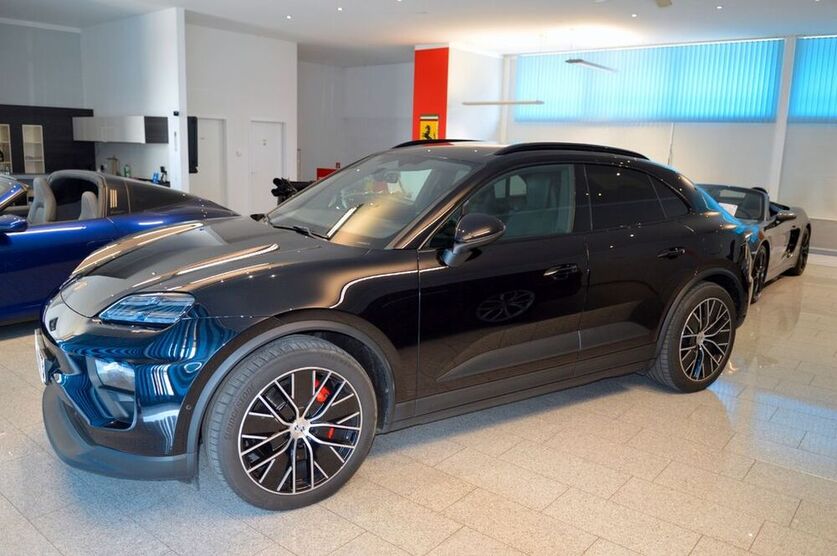 Macan