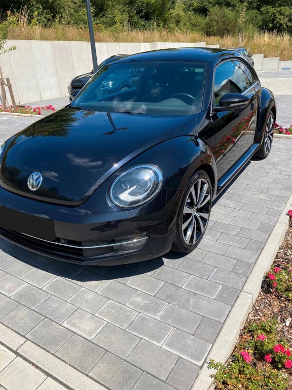 Beetle