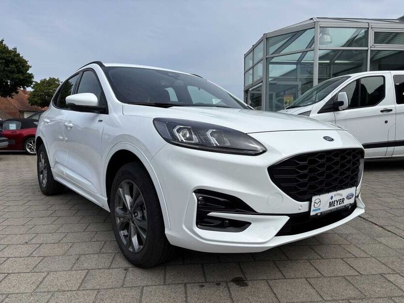 Kuga