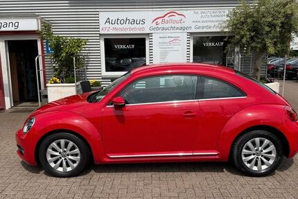 VW Beetle 68.000 km 9.450 &euro; Winsen (Luhe). 21423