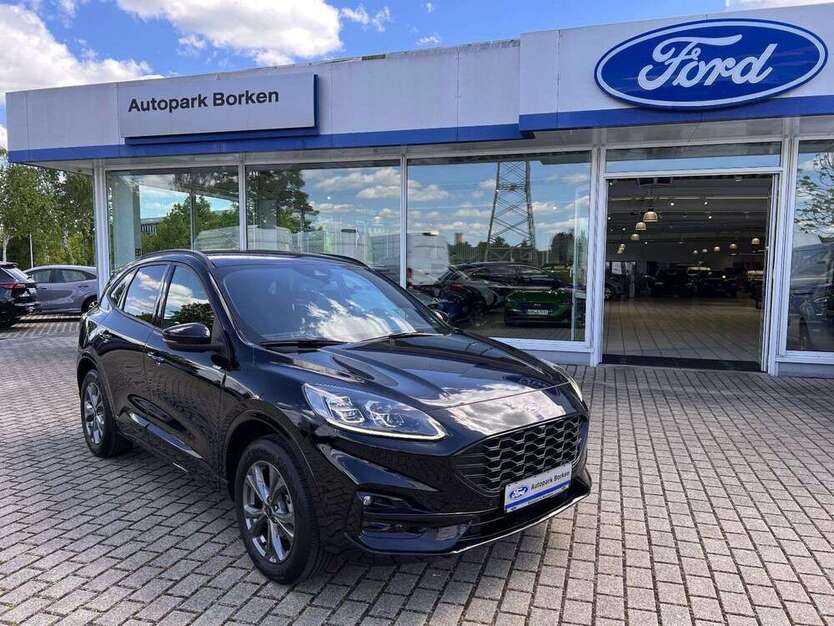 Kuga